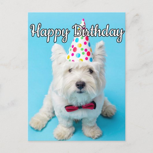 お誕生日おめでとう ポストカード (正面)