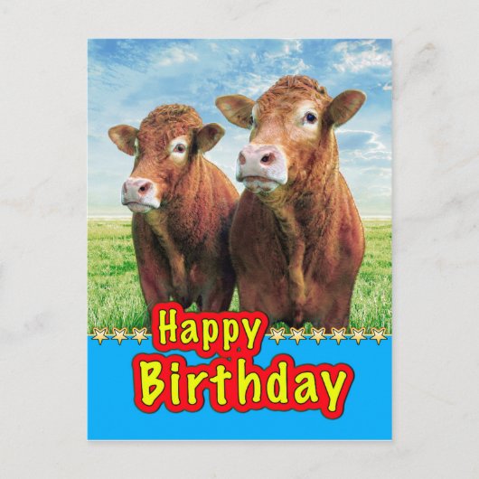 お誕生日おめでとう ポストカード (正面)