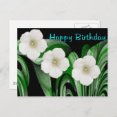 お誕生日おめでとう ポストカード (正面/裏面)