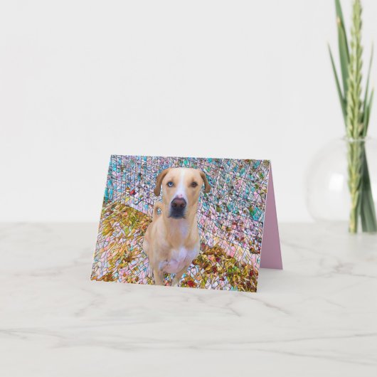 お誕生日おめでとう!モザイクスタイル - 青い目の犬 カード (正面)