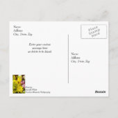 お誕生日おめでとう 明るい花束の水彩画 ポストカード (裏面)