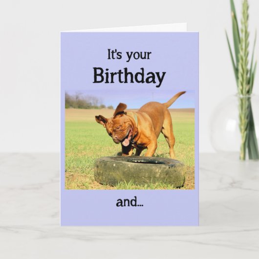 お誕生日おめでとう 楽しい時間を過ごす犬 カード (正面)