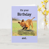 お誕生日おめでとう 楽しい時間を過ごす犬 カード (黄色い花)