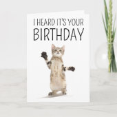 お誕生日おめでとう | 白に子猫 カード (正面)