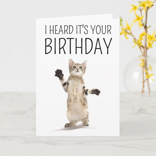 お誕生日おめでとう | 白に子猫 カード (黄色い花)