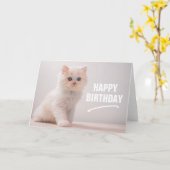 お誕生日おめでとう | 青い目のかわいい子猫 カード (黄色い花)