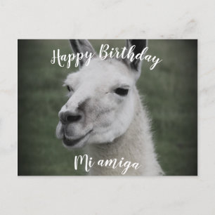 お誕生日おめでとう "Mi Amiga" ラマのポストカード ポストカード