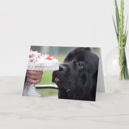 お誕生日ケーキと犬のカード カード (正面)