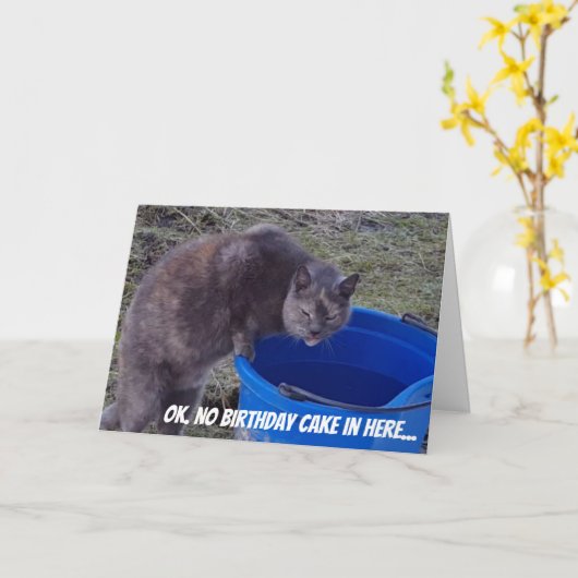 お誕生日ケーキカードを捜している猫 カード (黄色い花)