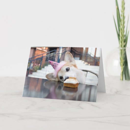 お誕生日ケーキコルギ カード (正面)