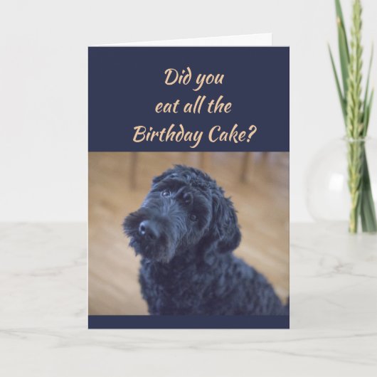 お誕生日ケーキユーモアかわいい黒カーリードッグペット カード (正面)