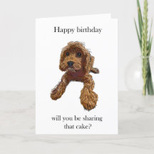 お誕生日ケーキ-レベル·ルパートの特集