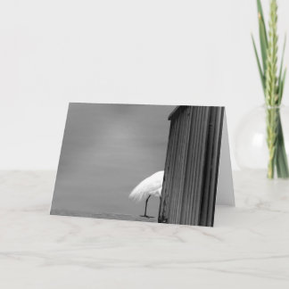 お越しいただいて申し訳ございません カード