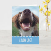 お越しの新しい犬、ハッピーアップおめでとう カード (黄色い花)