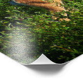 お邪魔 フォトプリント            (角)