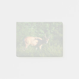 お邪魔 ポストイット