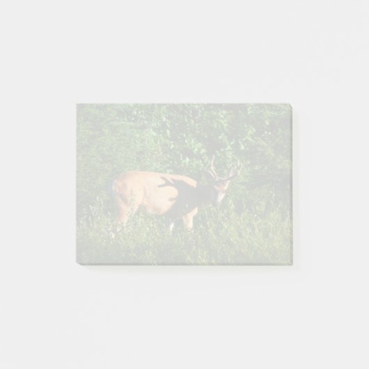 お邪魔 ポストイット (正面)