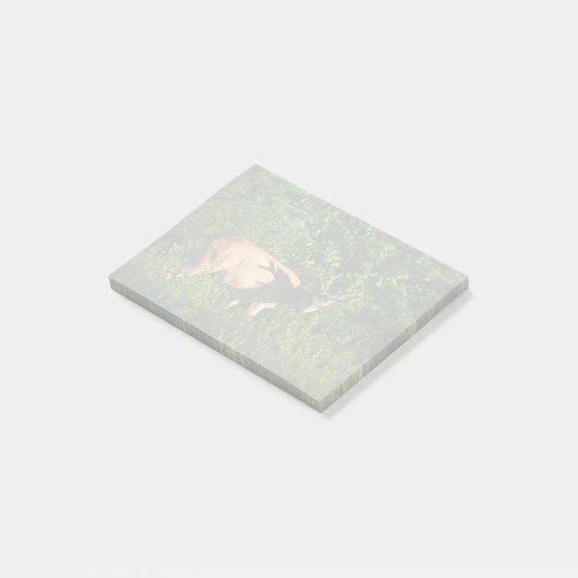 お邪魔 ポストイット (アングル)