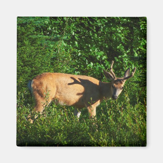 お邪魔 マグネット (正面)