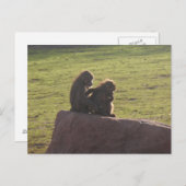 お金の友だち ポストカード (正面/裏面)