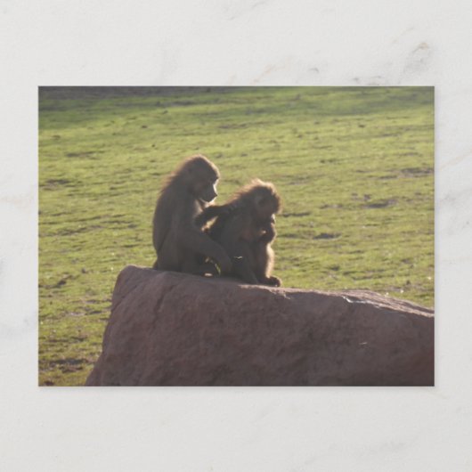 お金の友だち ポストカード (正面)