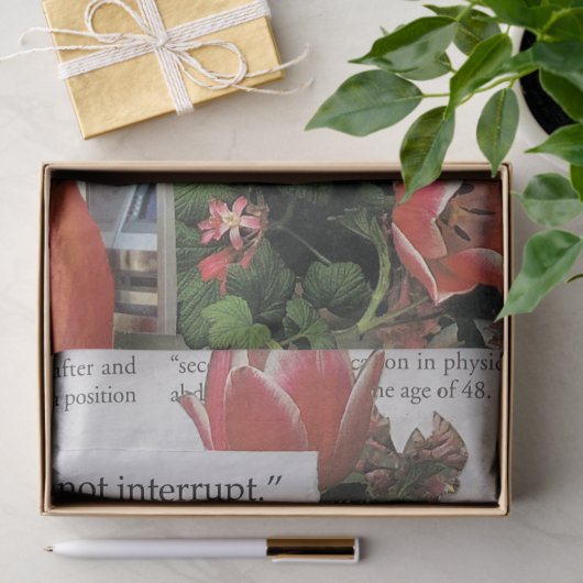 お金の朝のコーヒータイムを中断しない 薄葉紙 (ギフト)