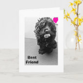 お間抜け友達のためのおしゃべり最高の カード (黄色い花)