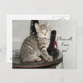 お電話子猫 ポストカード (正面/裏面)