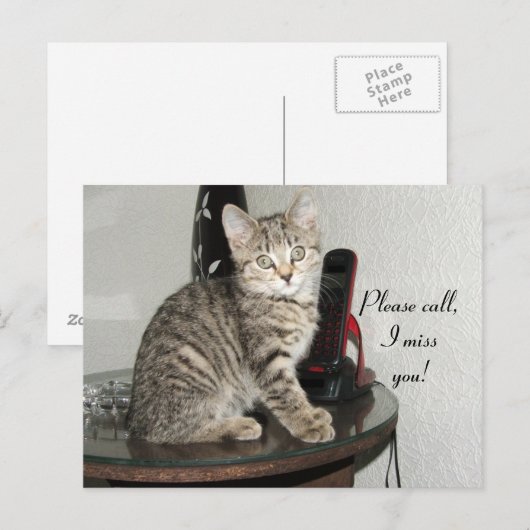 お電話子猫 ポストカード (正面/裏面)