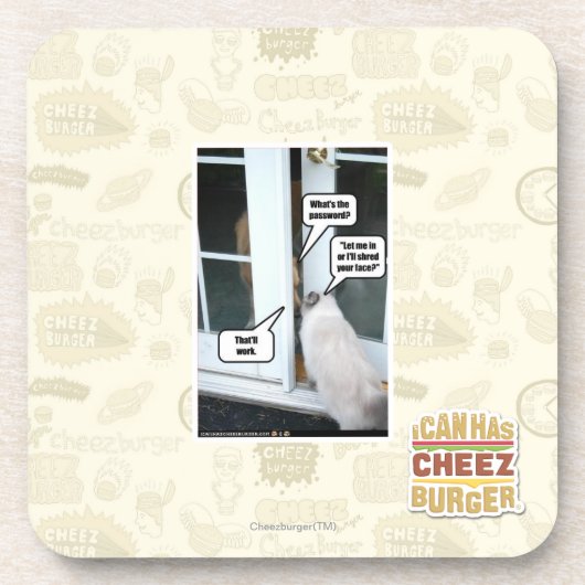 お願いしますパスワード コースター (正面)