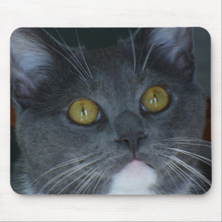 お願いします マウスパッド