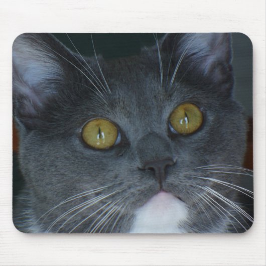 お願いします マウスパッド (正面)