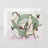 お願いシャムもしーよ ポストカード (正面/裏面)