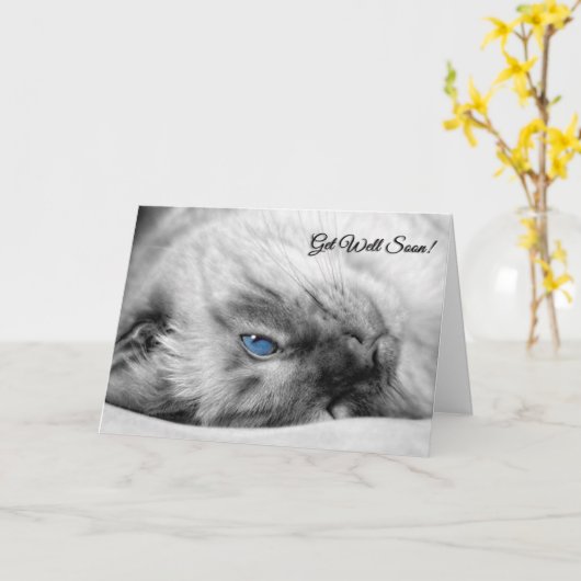 お願いシャム猫 カード (黄色い花)