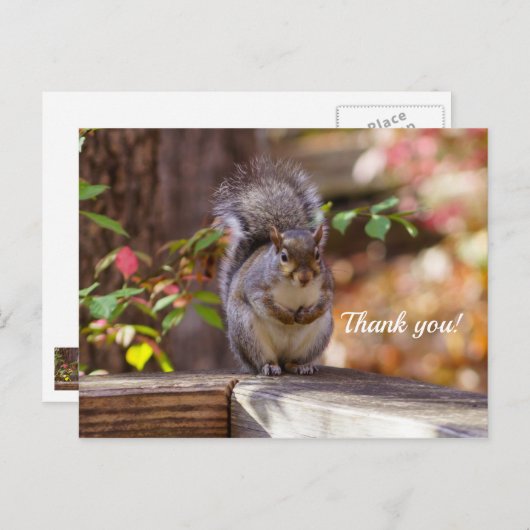 お願いリスありがとうポストカード ポストカード (正面/裏面)