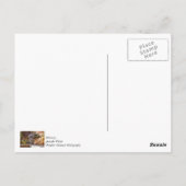 お願いリスありがとうポストカード ポストカード (裏面)