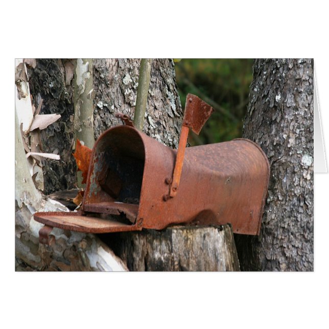 お願い書 (正面横)