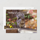 お願い考えるのリスの葉書 ポストカード (正面/裏面)