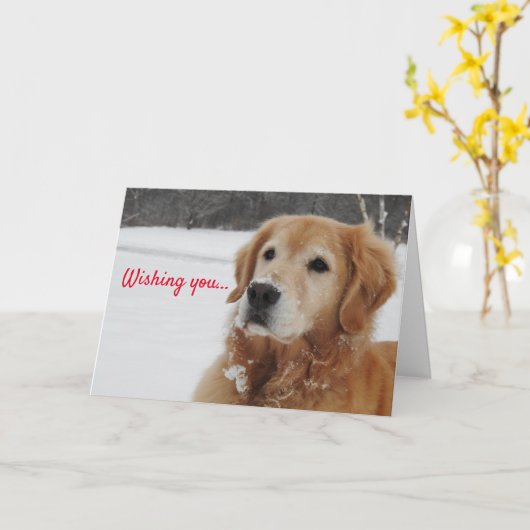 お願い カード (黄色い花)