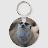 お願い? キーホルダー (正面)