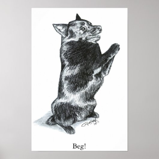 お願い！ ポスター (正面)