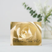 お願い！招待状はがきクリームバラ インビテーションポストカード (スタンド正面)