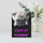 お願かわいらしい ポストカード (スタンド正面)