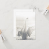 お風呂の白鳥の写真 カード (正面/裏面インサイチュ)