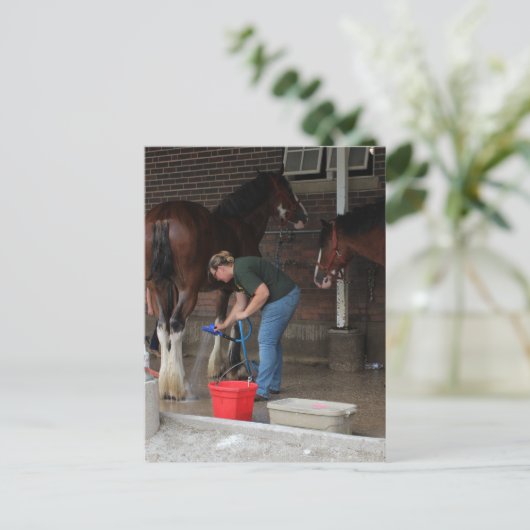 お風呂場 ポストカード (スタンド正面)