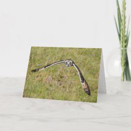 お飛んでいる前に カード