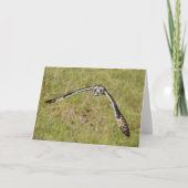 お飛んでいる前に カード (正面)