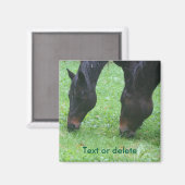 お馬さんの友達 放牧 動物 名前入り マグネット (正面/裏面)