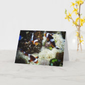 お魚のピンクの回復カード カード (黄色い花)