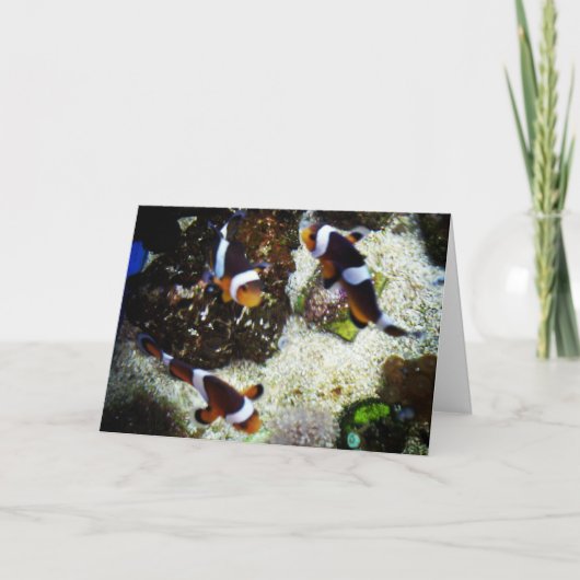 お魚のピンクの回復カード カード (正面)